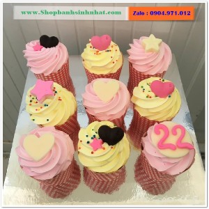 Bánh Sinh Nhật Cupcake - CUP13